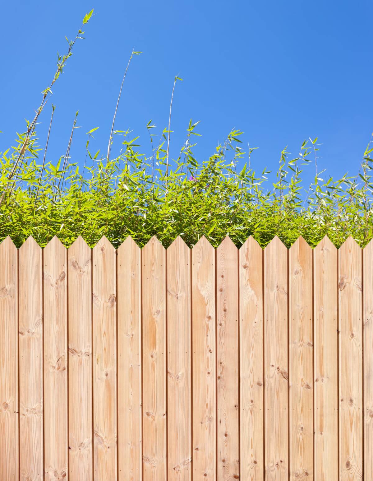 Pourquoi installer un brise-vue ? Behren-lès-Forbach